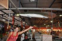 Visitando o mercado de peixes em Manaus - AM